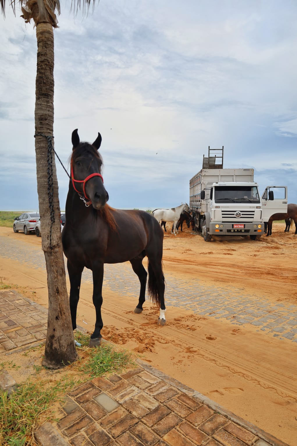 WhatsApp Image 2025-05-10 at 10.40.42 (2).jpeg