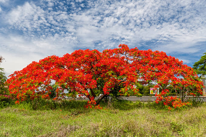 WhatsApp Image 2025-02-04 at 10.55.46.jpeg