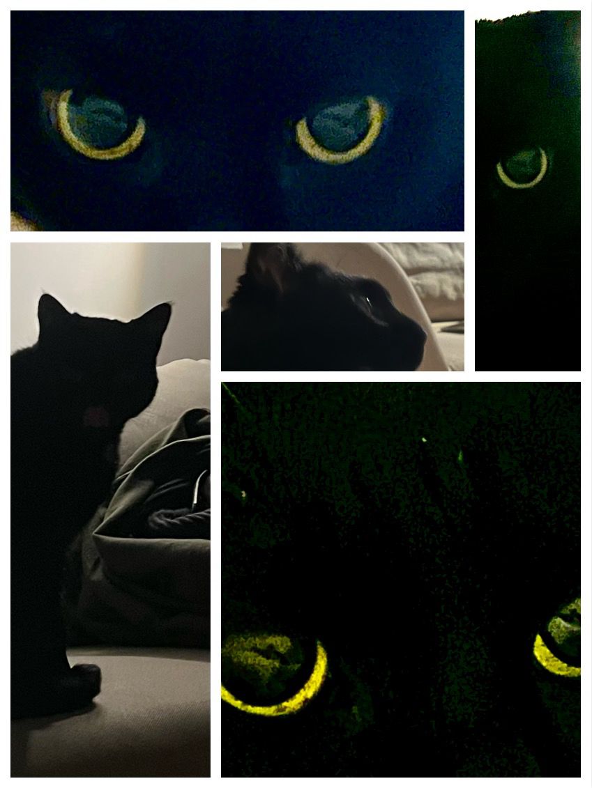 WhatsApp Image 2025-01-03 at 16.26.33.jpeg