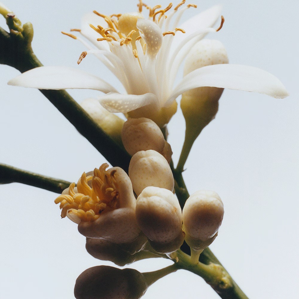 WhatsApp Image 2025-06-02 at 20.22.28.jpeg