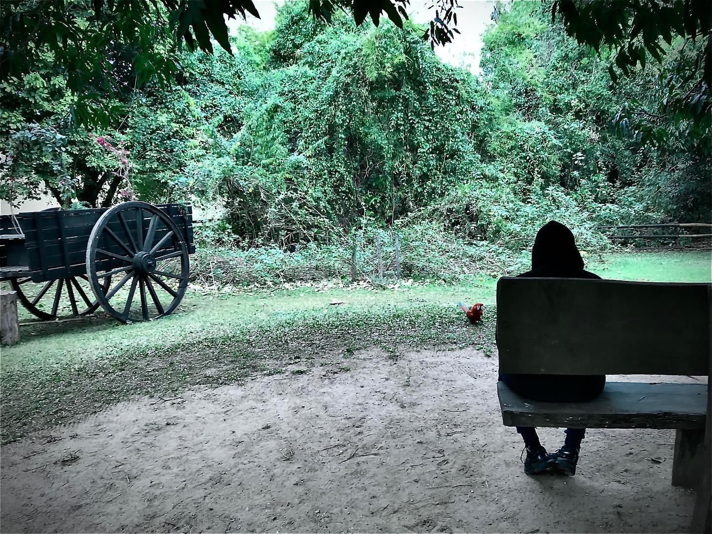 WhatsApp Image 2023-03-31 at 18.18.50.jpeg