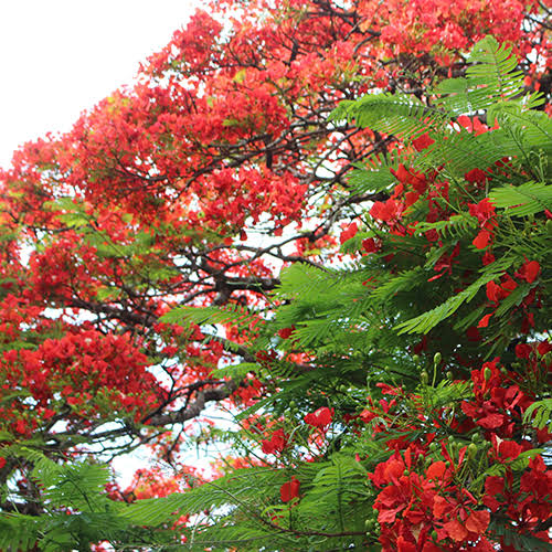 WhatsApp Image 2025-02-04 at 10.55.45 (1).jpeg