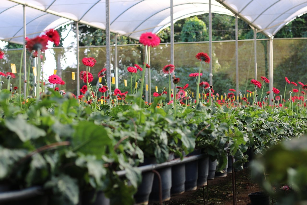 WhatsApp Image 2022-09-02 at 18.18.37.jpeg