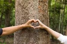 WhatsApp Image 2024-04-22 at 09.03.10.jpeg