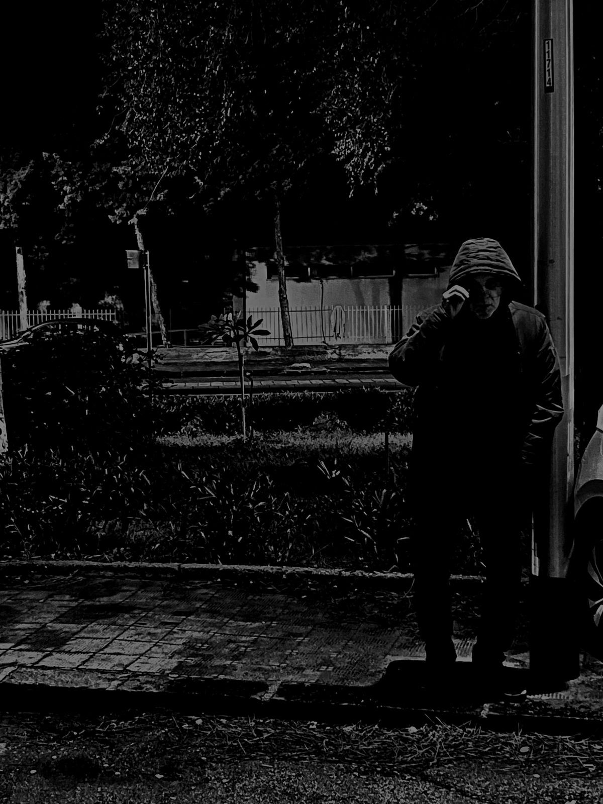 WhatsApp Image 2024-12-06 at 20.01.00.jpeg