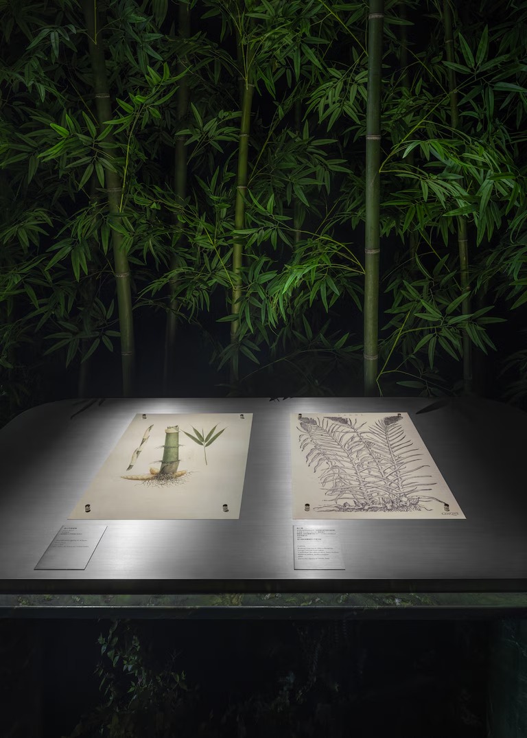 WhatsApp Image 2025-04-01 at 22.26.45.jpeg