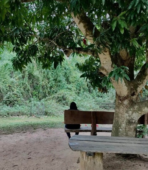 WhatsApp Image 2022-07-14 at 22.26.50.jpeg