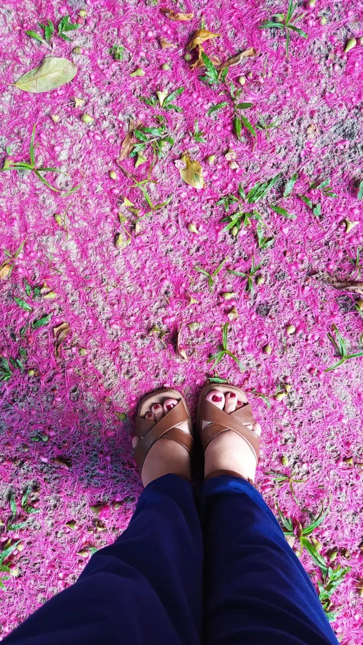 WhatsApp Image 2025-04-07 at 12.45.48.jpeg