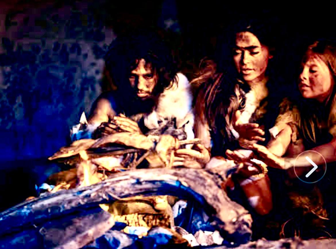 WhatsApp Image 2025-08-23 at 09.47.50 (1).jpeg