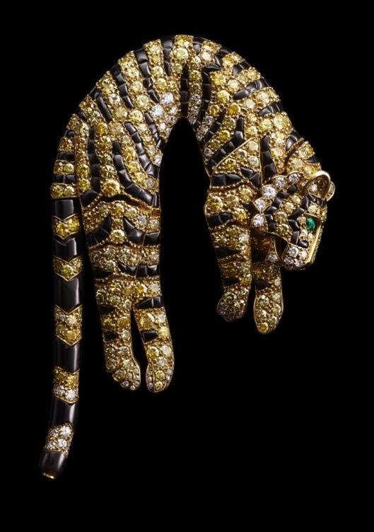 WhatsApp Image 2025-05-09 at 09.43.13 (2).jpeg