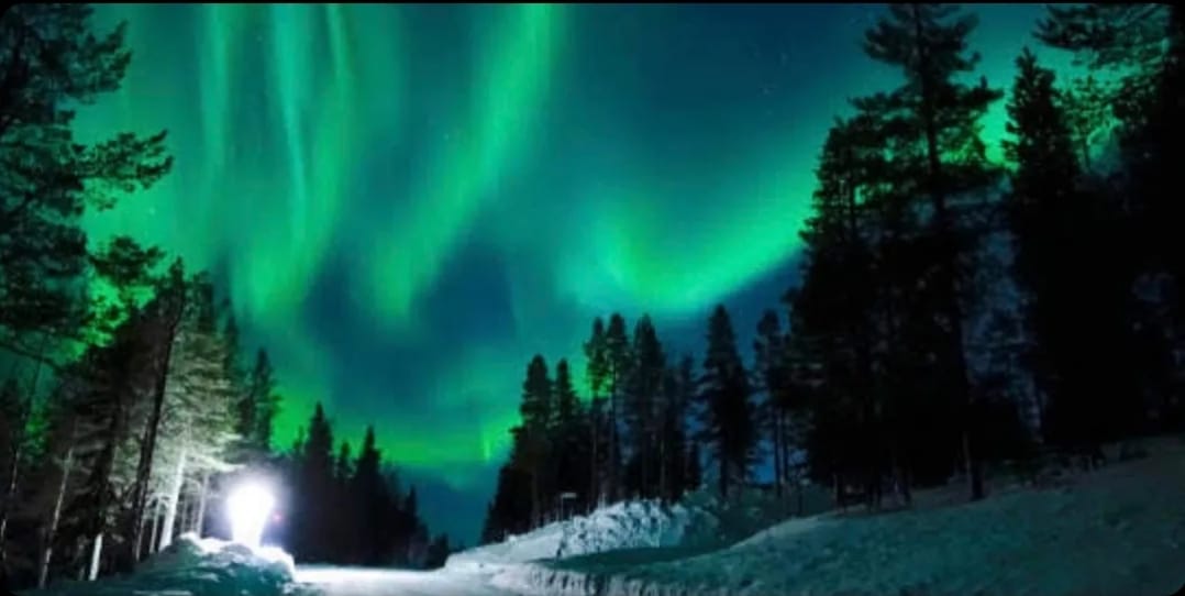 WhatsApp Image 2022-02-25 at 10.07.12.jpeg