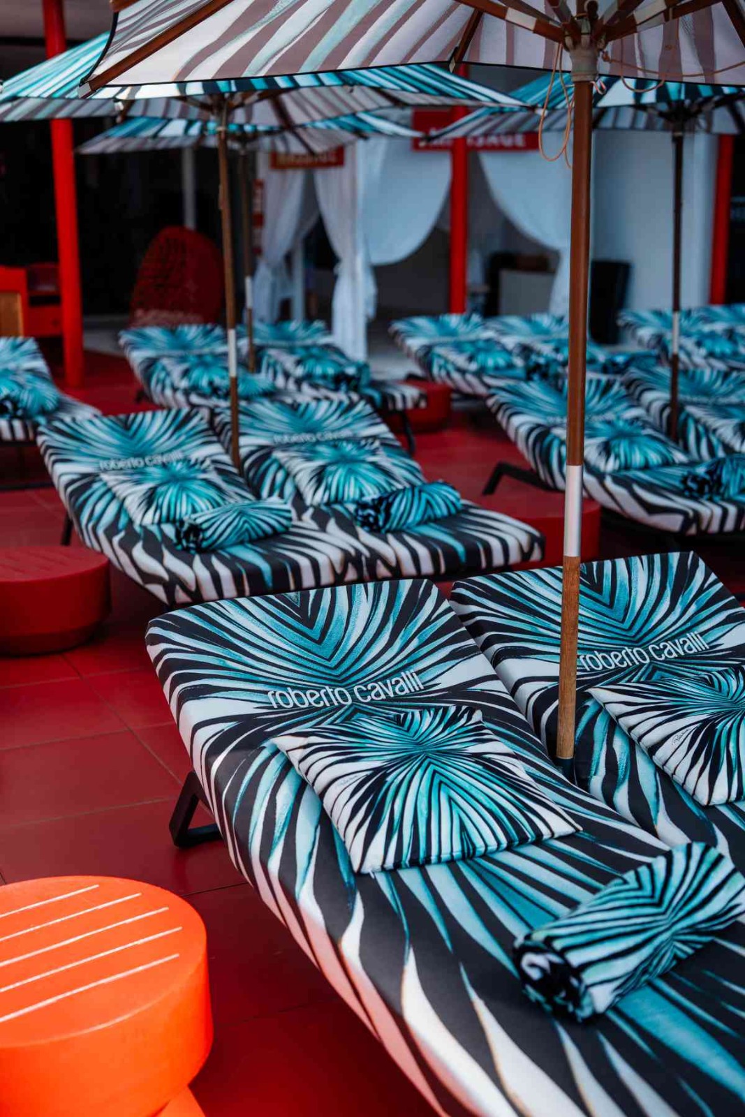 WhatsApp Image 2025-08-04 at 17.27.33 (1).jpeg