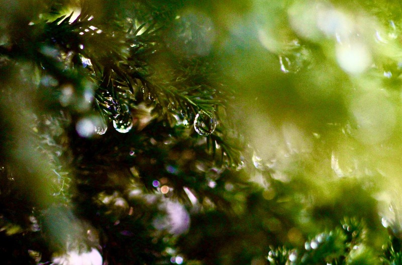 WhatsApp Image 2023-08-24 at 20.18.59.jpeg