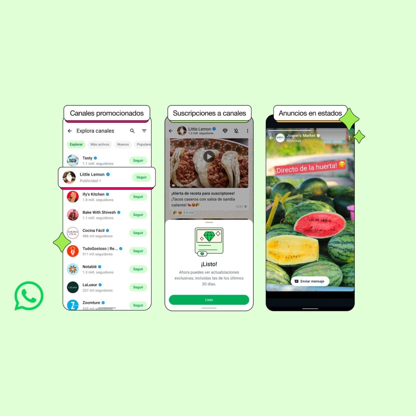 WhatsApp Image 2025-06-17 at 11.25.46.jpeg