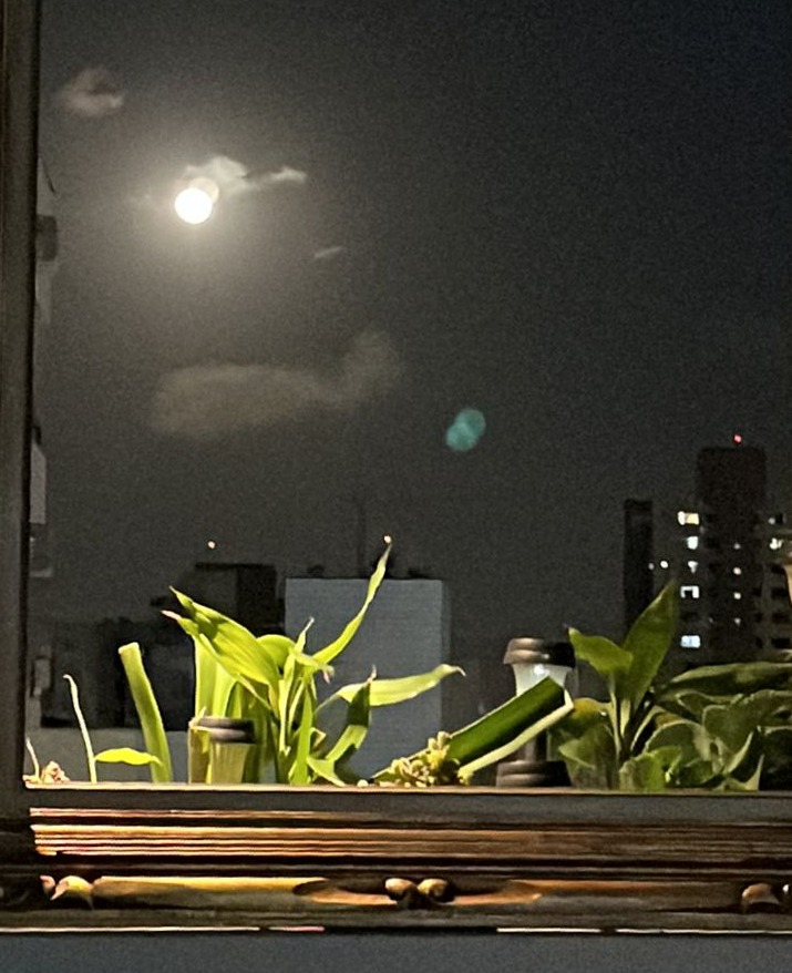 WhatsApp Image 2023-08-03 at 19.12.35.jpeg