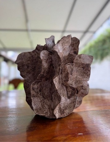 WhatsApp Image 2025-05-28 at 12.14.34.jpeg