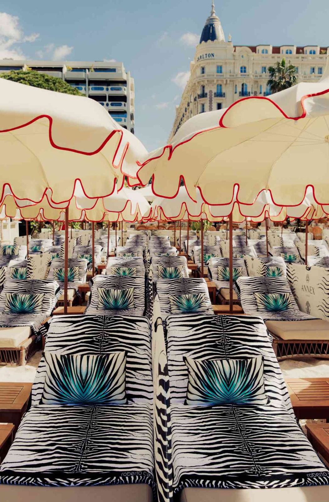 WhatsApp Image 2025-08-04 at 17.27.32.jpeg