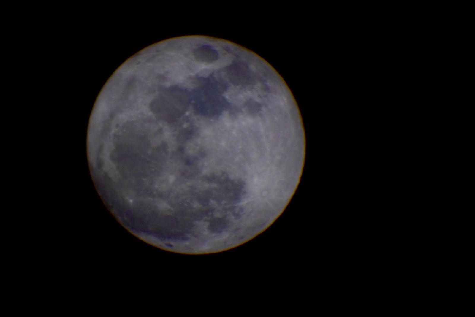 WhatsApp Image 2023-09-01 at 11.03.19.jpeg