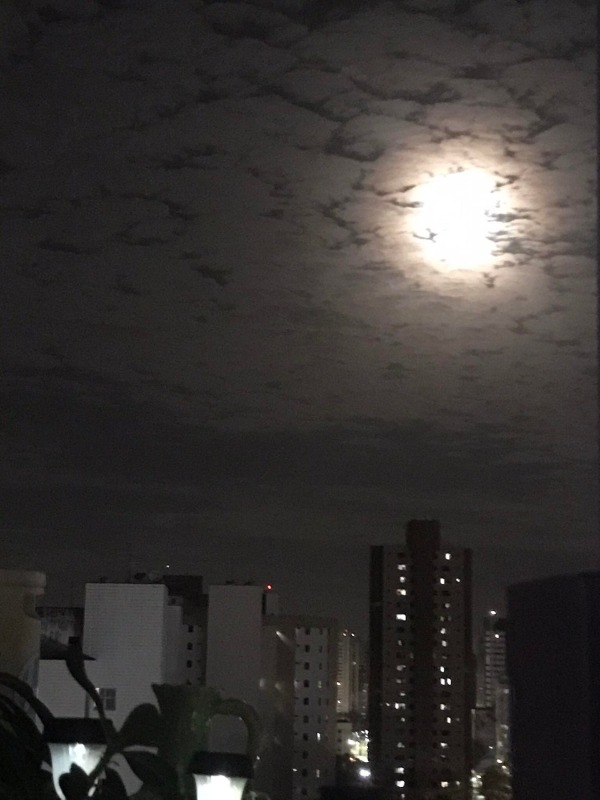 WhatsApp Image 2022-08-05 at 08.27.50.jpeg