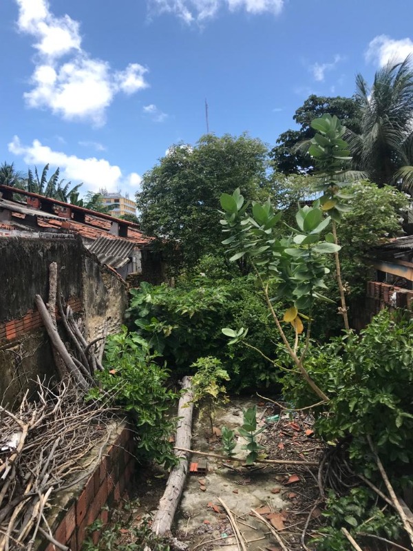 WhatsApp Image 2022-10-20 at 20.14.53.jpeg