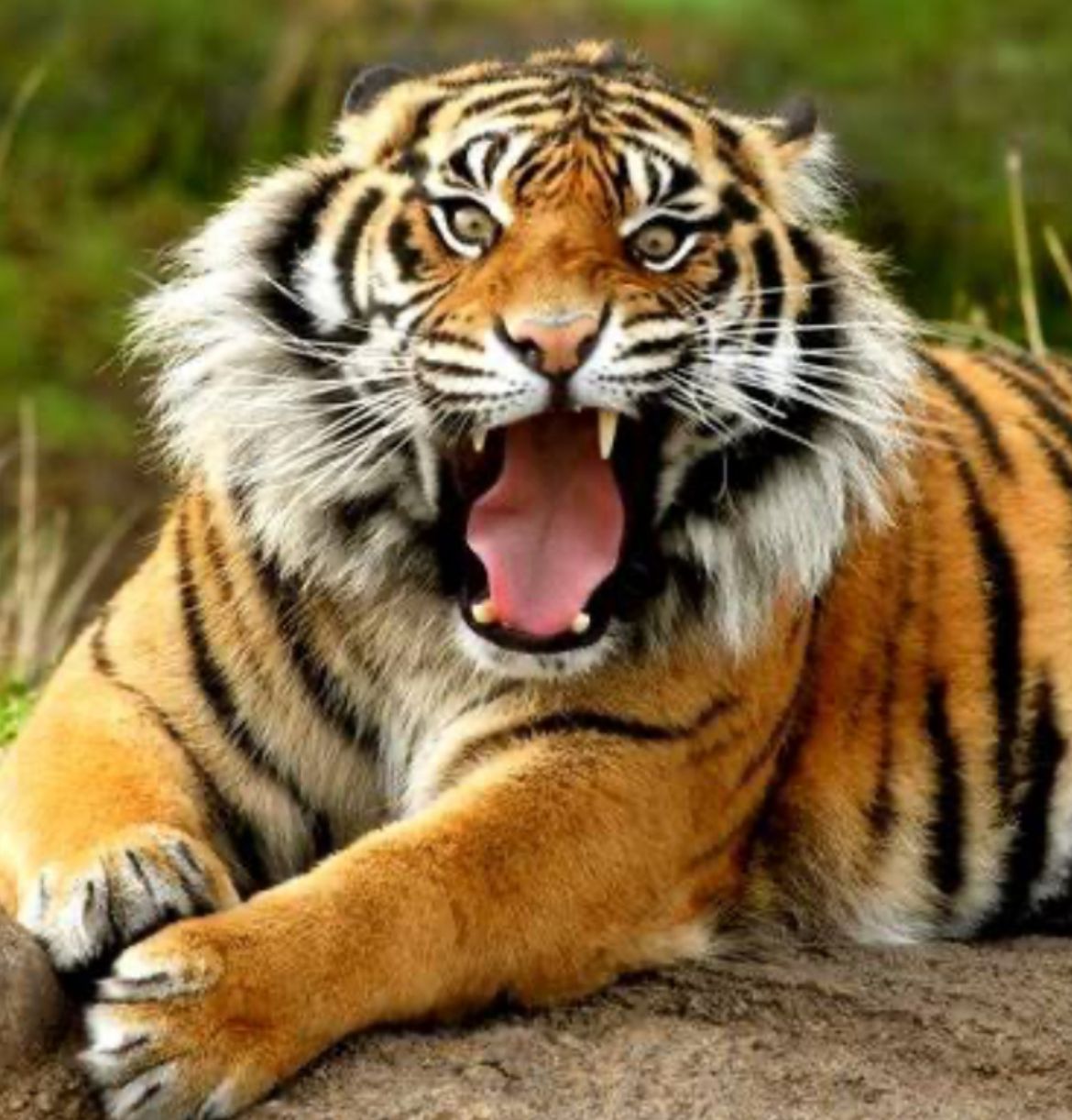 WhatsApp Image 2024-03-26 at 08.50.01.jpeg