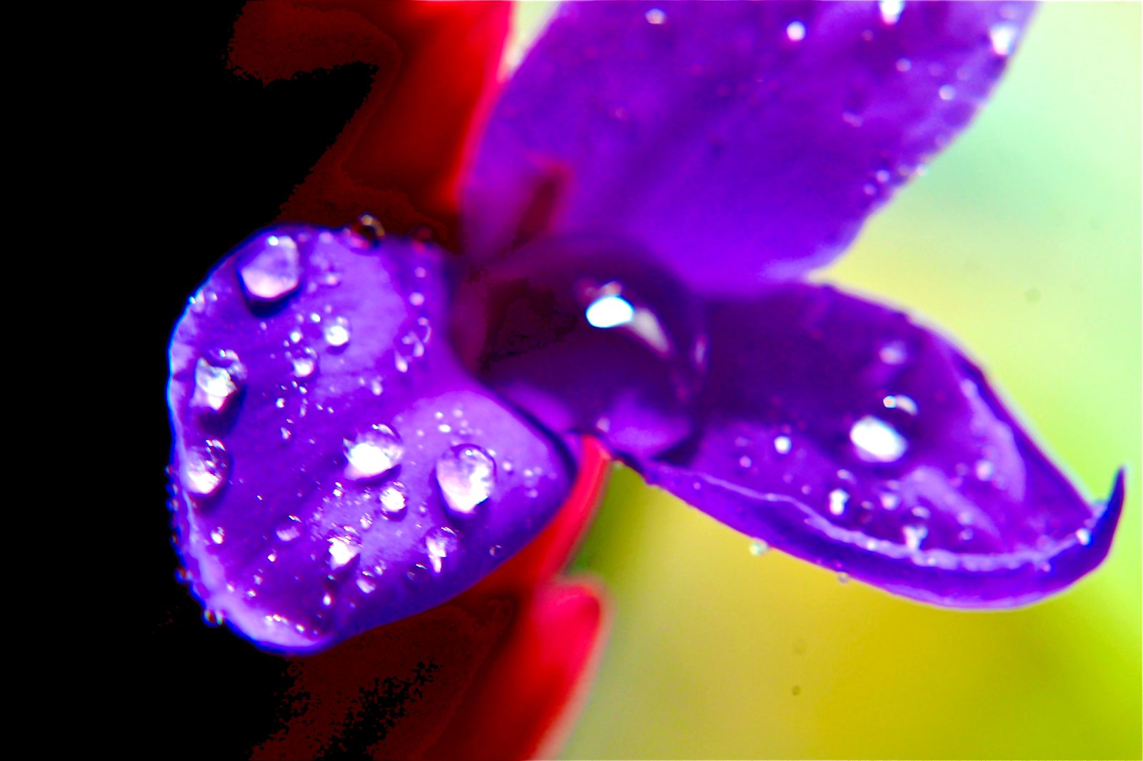 WhatsApp Image 2023-10-13 at 18.01.10.jpeg