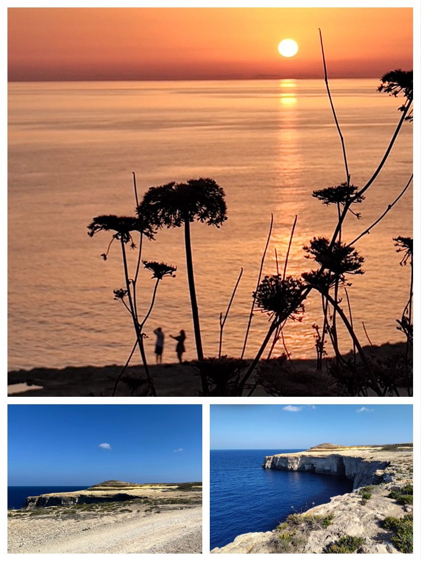 WhatsApp Image 2024-11-02 at 01.06.38 (1).jpeg