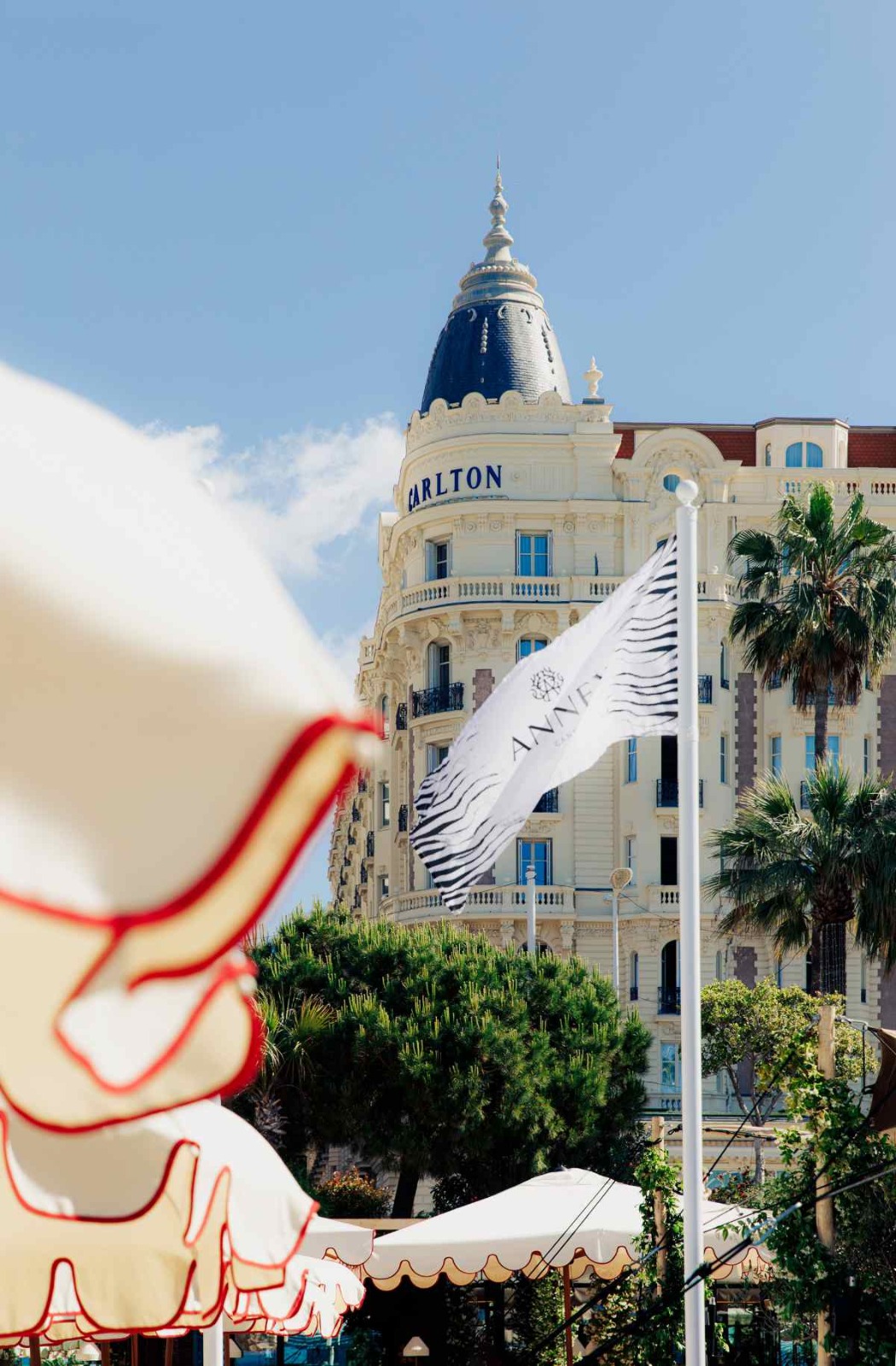 WhatsApp Image 2025-08-04 at 17.27.37 (1).jpeg