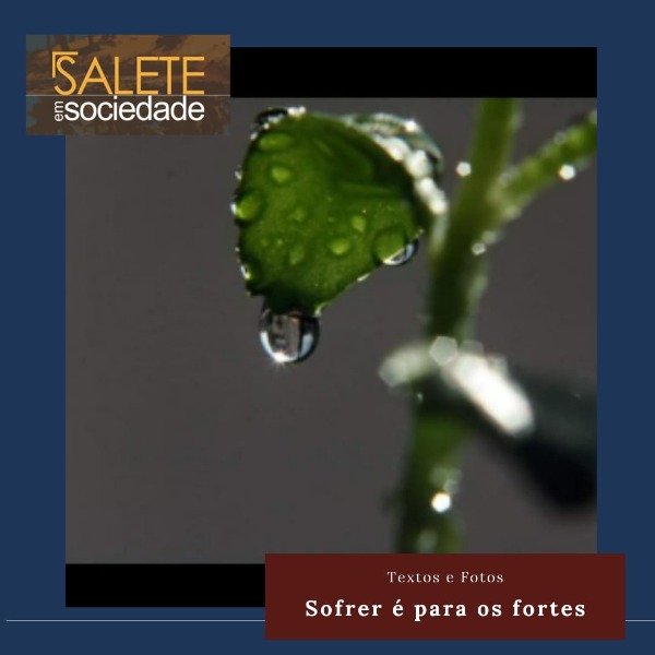 WhatsApp Image 2022-05-13 at 11.21.50.jpeg