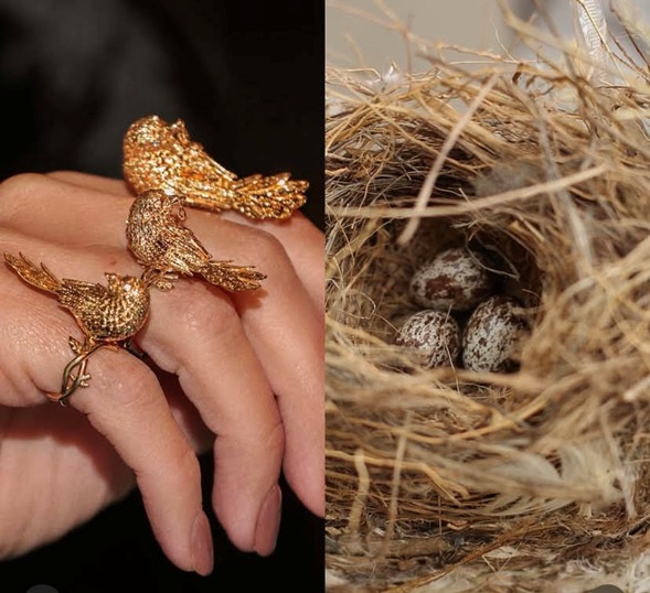 WhatsApp Image 2025-06-06 at 13.35.44.jpeg