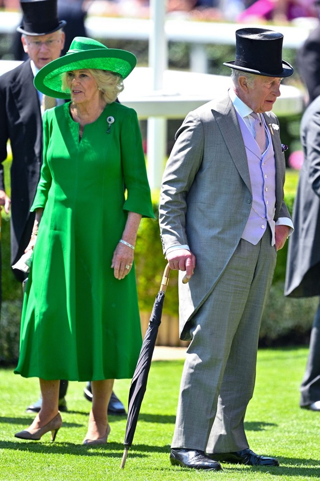 WhatsApp Image 2025-06-20 at 12.39.20.jpeg