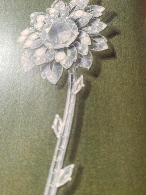 WhatsApp Image 2025-05-09 at 09.43.12 (2).jpeg