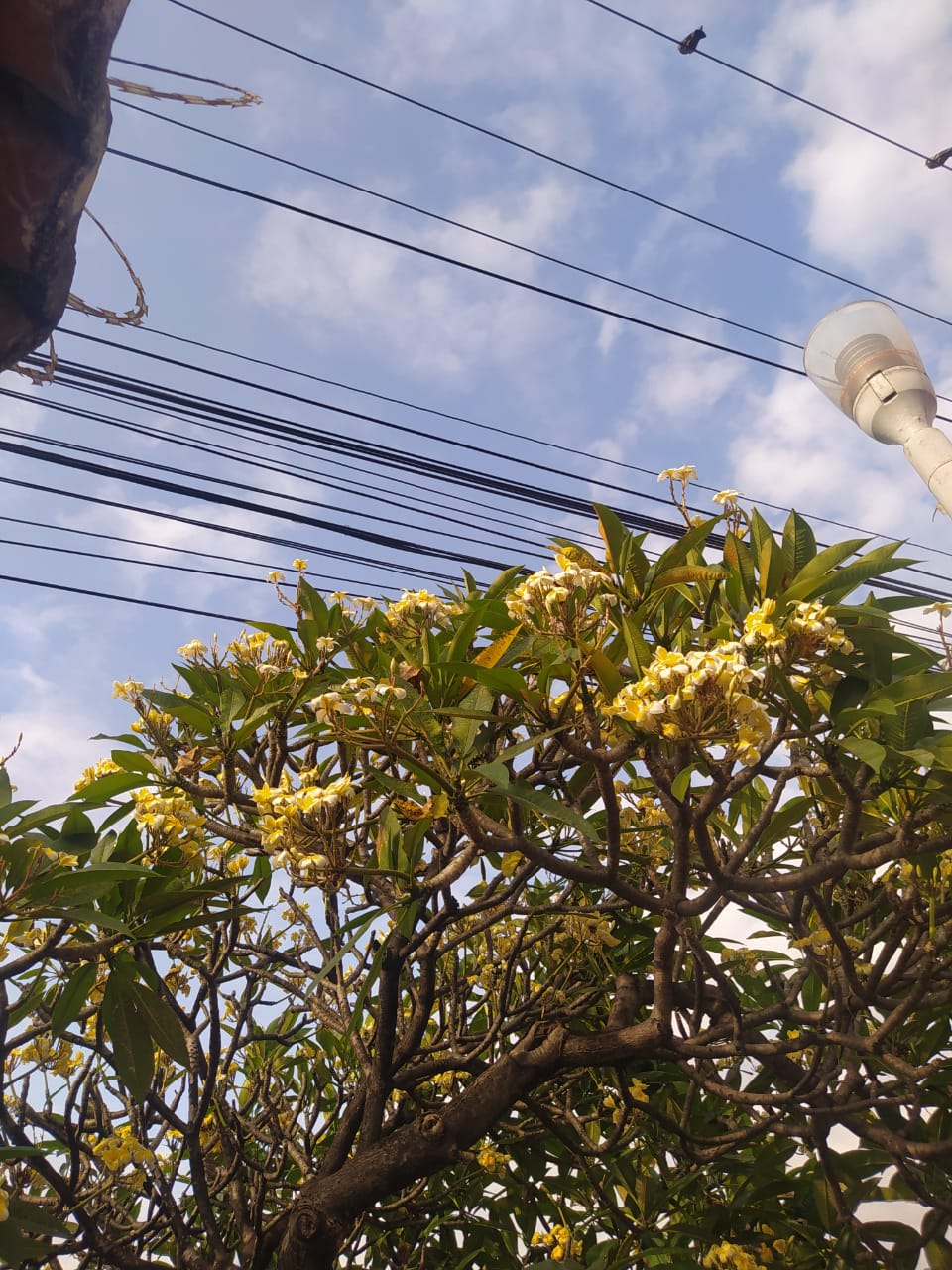 WhatsApp Image 2025-04-07 at 12.46.14.jpeg