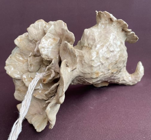 WhatsApp Image 2025-05-28 at 12.14.37.jpeg