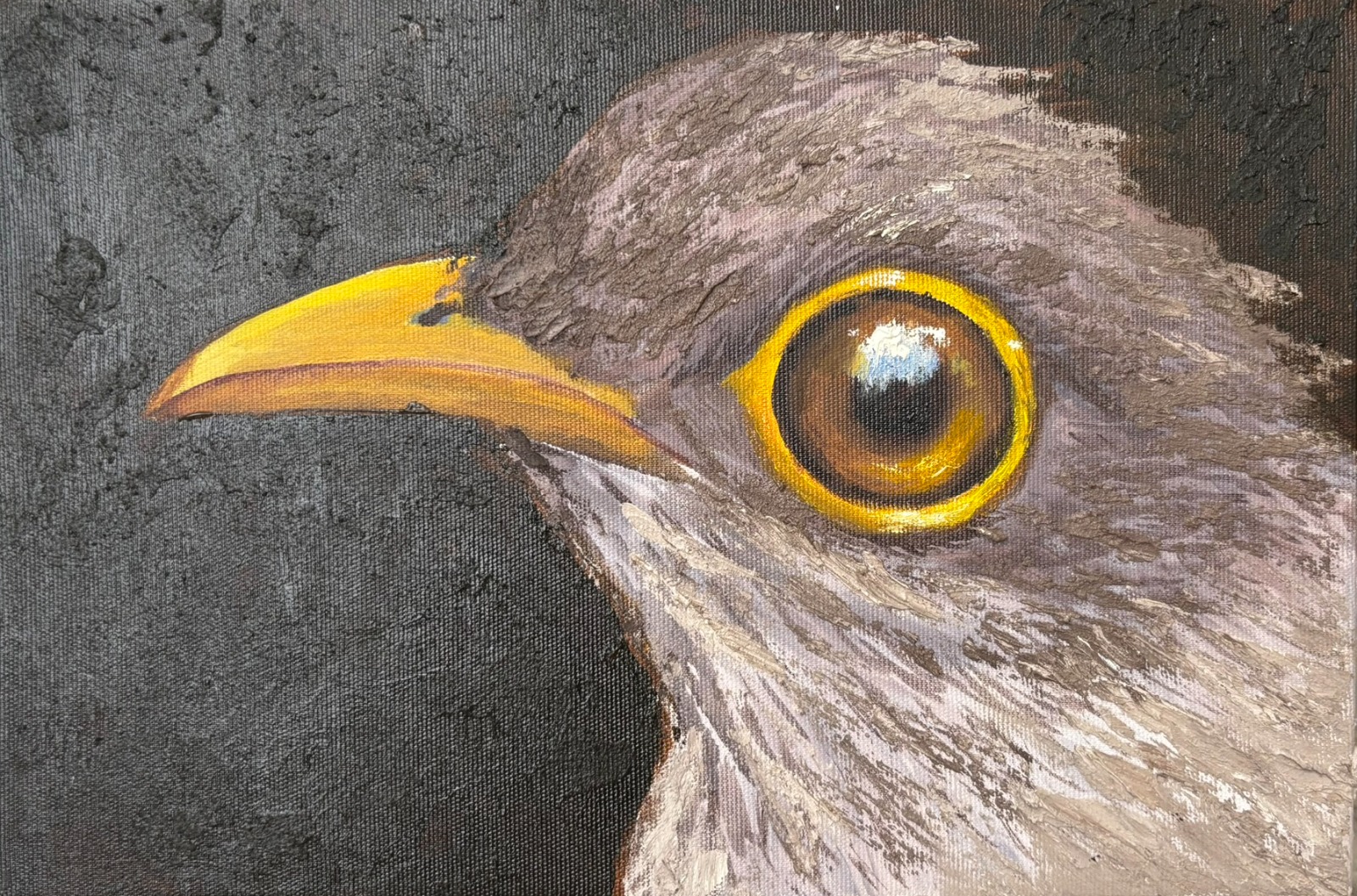 WhatsApp Image 2025-08-25 at 14.15.55 (1).jpeg