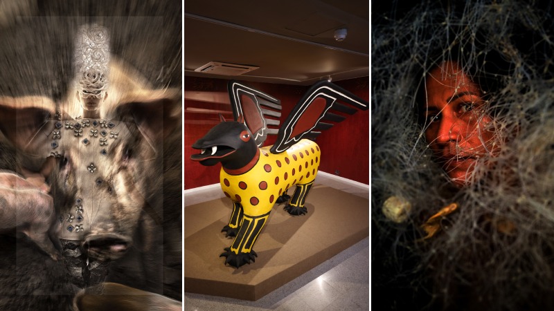 WhatsApp Image 2025-06-25 at 14.52.33.jpeg