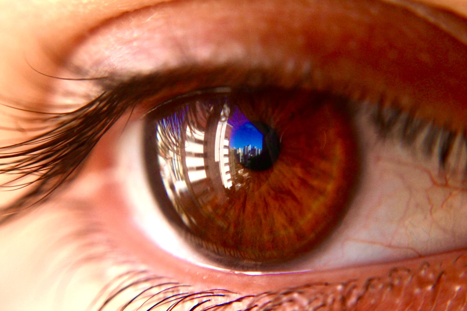 WhatsApp Image 2023-07-14 at 18.34.34.jpeg