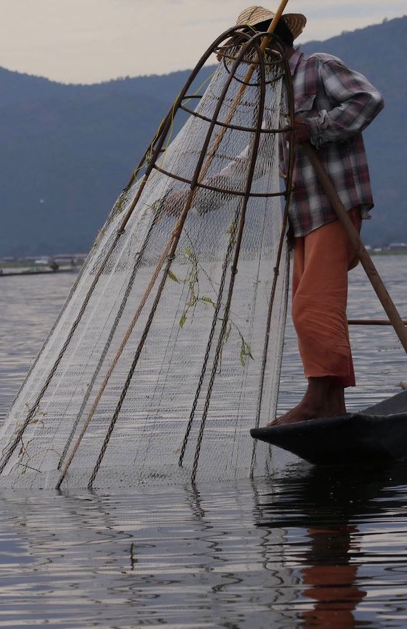 WhatsApp Image 2024-08-24 at 05.54.30.jpeg