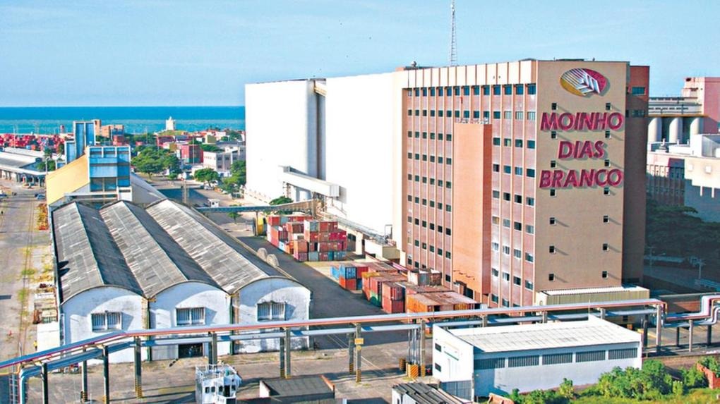 WhatsApp Image 2025-08-04 at 17.51.31.jpeg